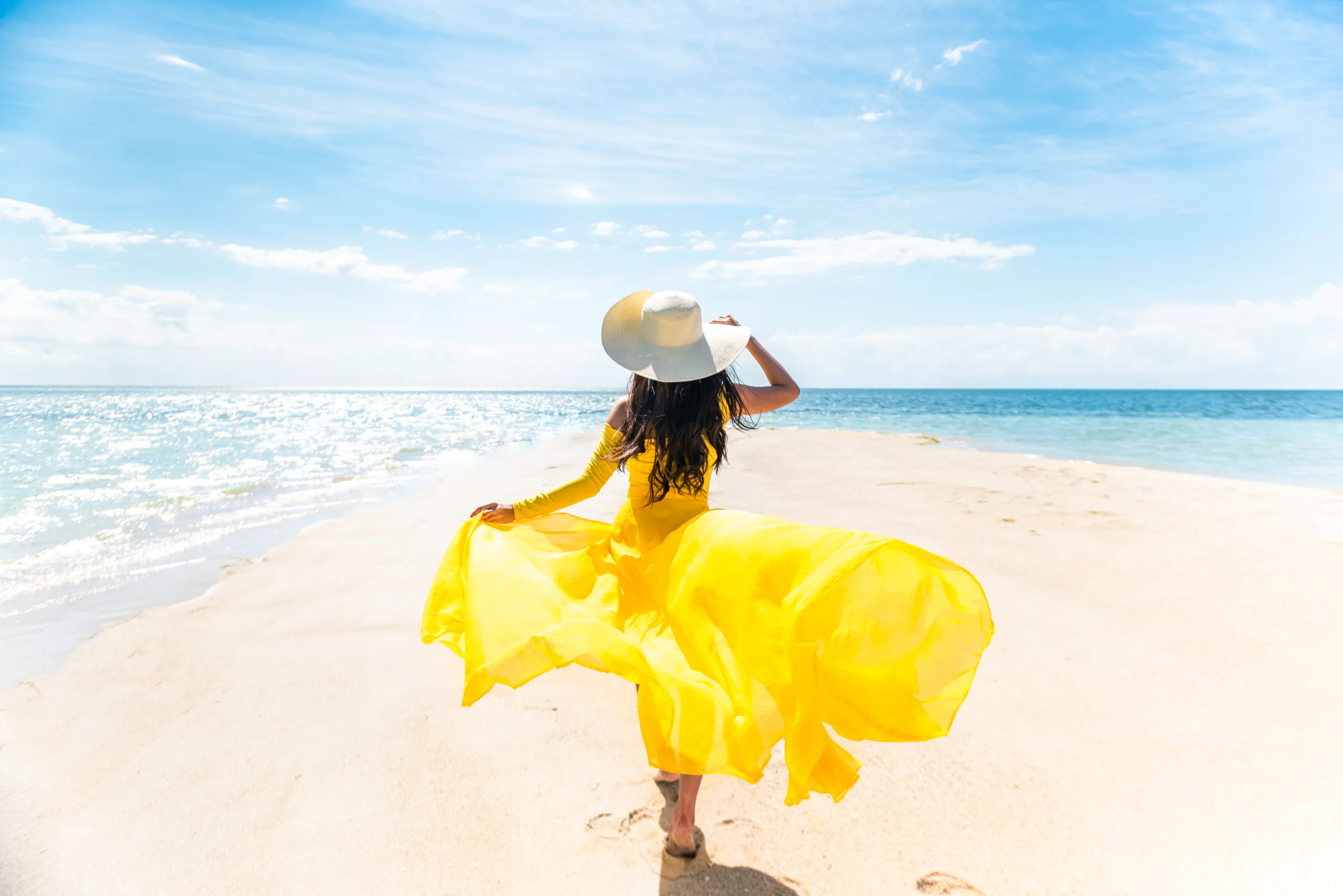 AVLCI Payment Portal